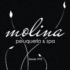 Molina Peluquería & Spa