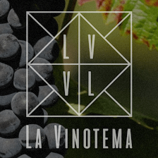 La Vinotema Online