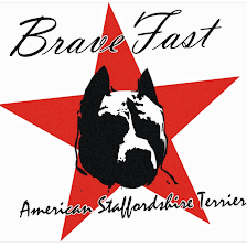 Brave Fast
