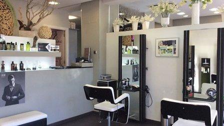 Molina Peluquería & Spa