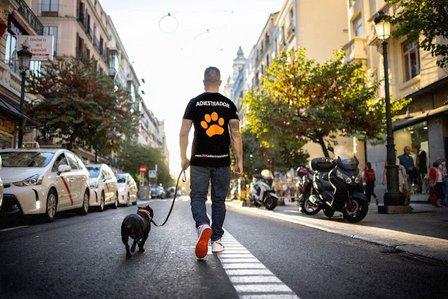 DOS🥇 Adiestramiento canino en Madrid