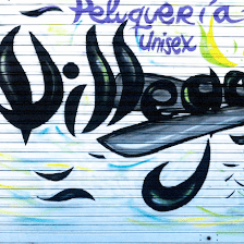 Villegas