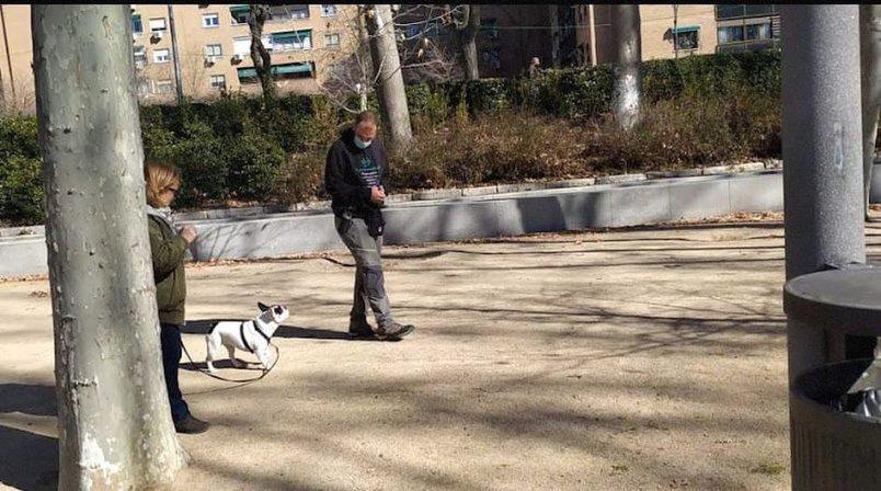 El perro escuchado