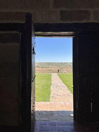 Bodega Viña Arnáiz - Ribera del Duero