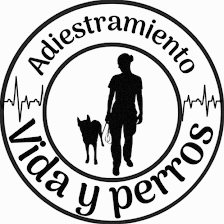 Vida y Perros