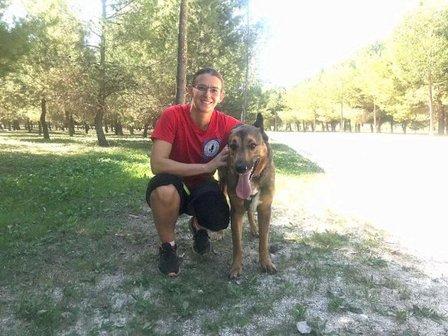 Vida y Perros