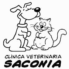 CLÍNICA VETERINARIA SACONIA