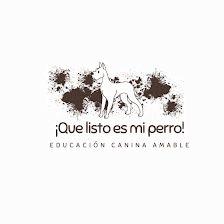 Qué listo es mi perro.