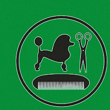 Peluquería canina TheDogSpa