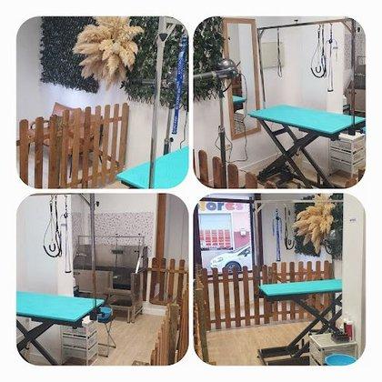 Peluquería canina TheDogSpa