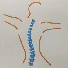 Centro Kaori. Osteopatía