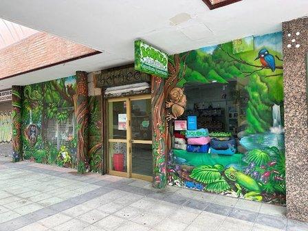 Mascotas Borneo