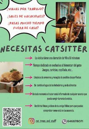 Catsitter y mas