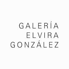 Galería Elvira González