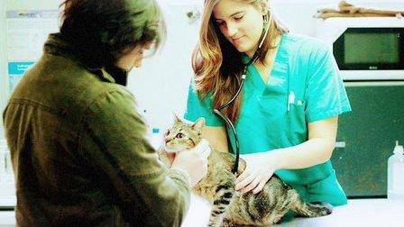 Veterinary Center Eurocan