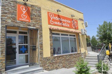 Clínica Veterinaria Guadalix de la Sierra