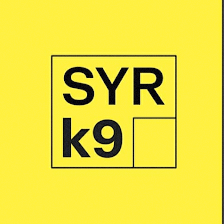 Adiestramiento Madrid SYR K9
