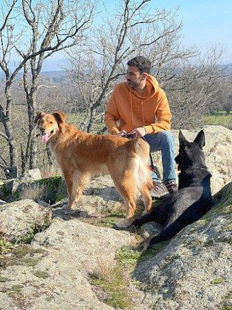 Adiestramiento Madrid SYR K9