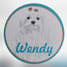 Peluquería canina Wendy Parla