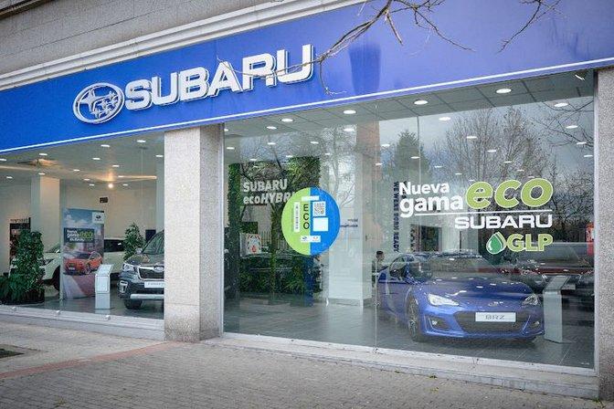 Concesionario Oficial Subaru Santa Engracia - Trade Gamboa