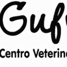 Centro Veterinario Gufy