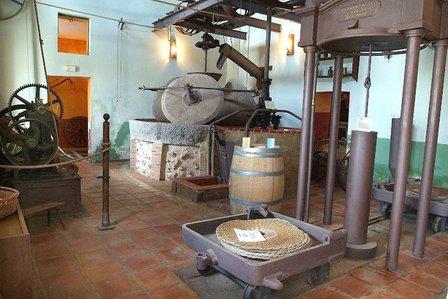 Museo Oleico "La Almazara"