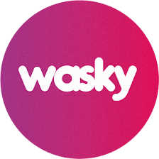 Wasky | Autolavado de mascotas Parla