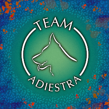 Team Adiestra