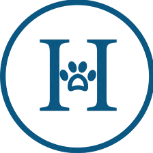MascoHotel-Hotel para Mascotas-Madrid-Residencia Canina Madrid