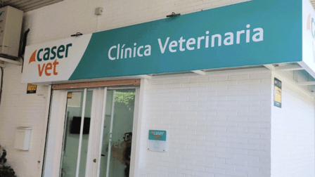 The clinic Animals