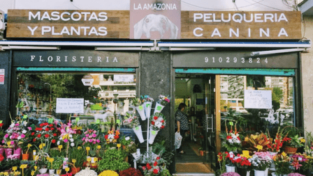 La Amazonia