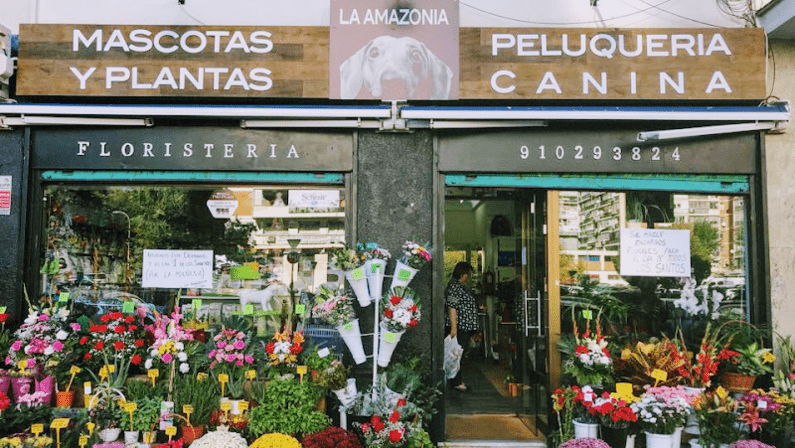 La Amazonia