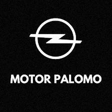 Motor Palomo