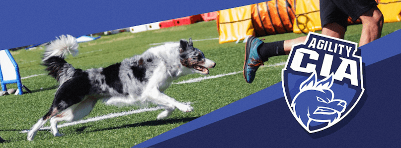 Club Agility CIA