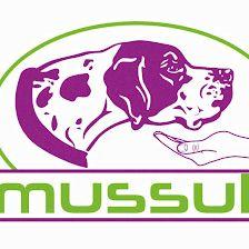 Mussuk Educación Canina