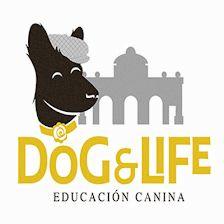Dog & Life Dog Training Madrid