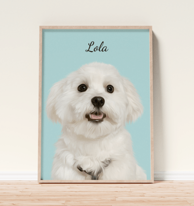MascoZoom- Retratos personalizados de mascotas