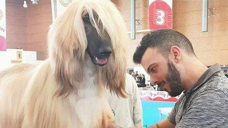 Peluquería canina Rubén arranz