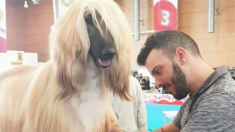 Peluquería canina Rubén arranz