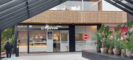 Malvón