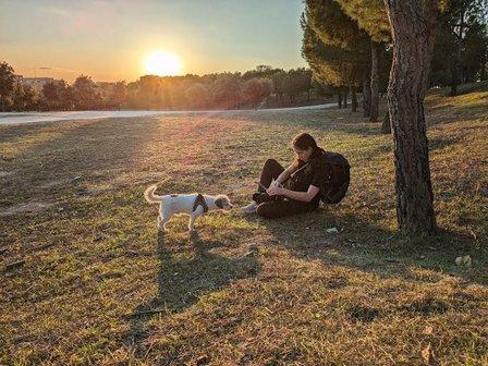 Perros en Foco, Educación y Fotografía canina