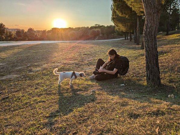 Perros en Foco, Educación y Fotografía canina