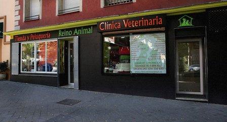 Veterinary Clinic Animal Kingdom