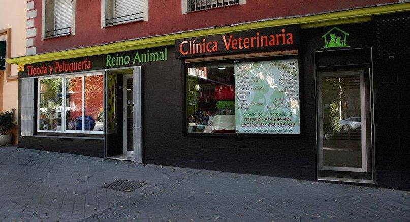 Veterinary Clinic Animal Kingdom