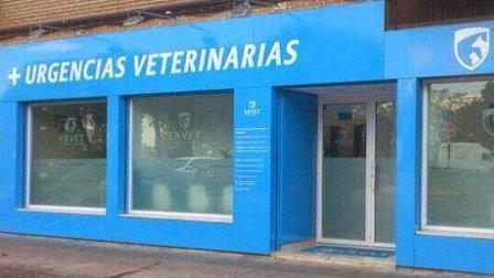 Veterinary Emergency ERVET