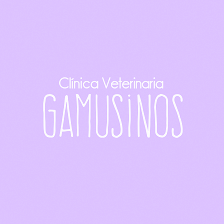 veterinary clinic gamusinos