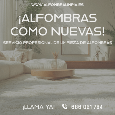 AlfombraLimpia