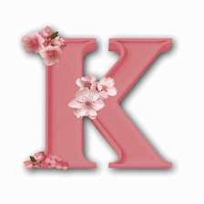 Korean Beauty Shop