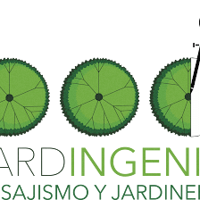 Jardingenia