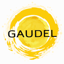 Gaudel gestión de servicios integrales,S.L.